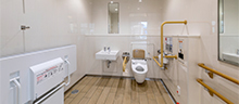 Image of multifunctional toilet