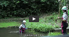 Eco-Road (Business introduction "Connecting feelings Michizukuri (1) Environmental measures" Image link to video