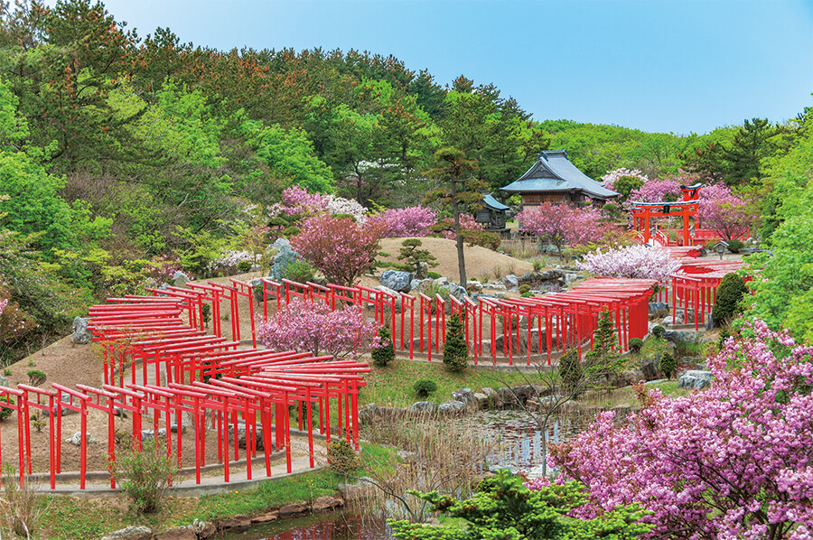 緑を縫う朱の千本鳥居 絵のような奇観を呈する 桜花の高山稲荷神社のイメージ画像
