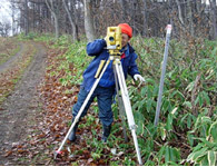 Photograph of land width pile installation and land surveying 1
