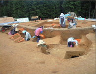 Photograph 2 of buried cultural property survey