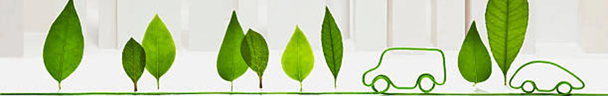 サステナビリティのイメージ画像