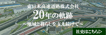 社史「20年の軌跡」ページへの画像リンク