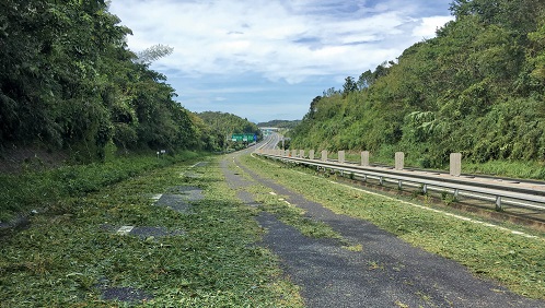 覆蓋在路面上的樹枝和樹葉的照片（立山路）<15號颱風>