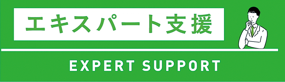 Image of expert support
