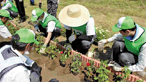福祉施設との花壇整備 （後志道　小樽JCT工事用道路出入口付近）のイメージ画像