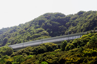 图片链接到Kamariya Daini高架桥绿色之路的图片下载页面（1）
