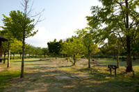 Obuse PA Highway Oasis圖片鏈接到Obuse General Park（Mallet高爾夫球場）的圖像下載頁面