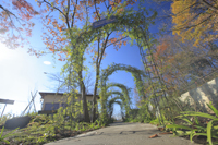 어린 왕자 PA 가든 이미지 다운로드 페이지에 이미지 링크