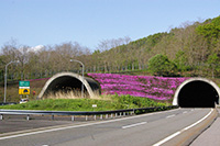 三笠IC～美唄IC（下り）本線からの美唄トンネル南側坑口の芝桜の画像ダウンロードページへの画像リンク