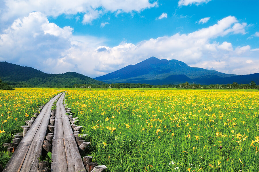 7月の風景《群馬県、福島県》可憐なニッコウキスゲが織りなす黄色い花の絨毯 燧ケ岳を望む尾瀬ヶ原ページへの画像リンク