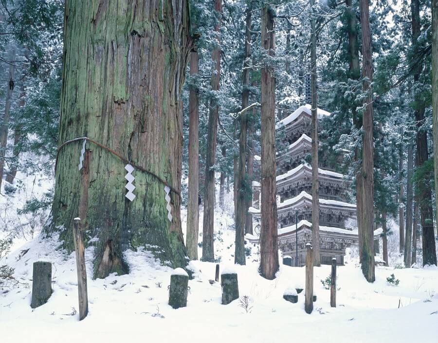 降り積もる雪の中にたたずむ静寂の美羽黒山の国宝、五重塔のイメージ画像
