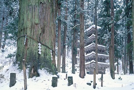 12月の風景《山形県》降り積もる雪の中にたたずむ静寂の美 羽黒山の国宝、五重塔ページへの画像リンク