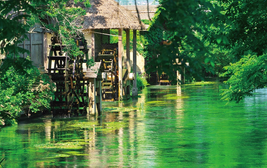 6月の風景《長野県》翠に染まる清流と水車小屋安曇野の原風景を愉しむ初夏の蓼川とわさび農場ページへの画像リンク