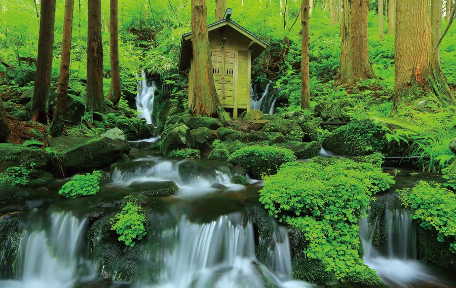 7月の風景《山形県》名水・鳥海山の伏流水が岩場から湧き出す奇勝の滝杉林に涼音響く胴腹滝ページへの画像リンク