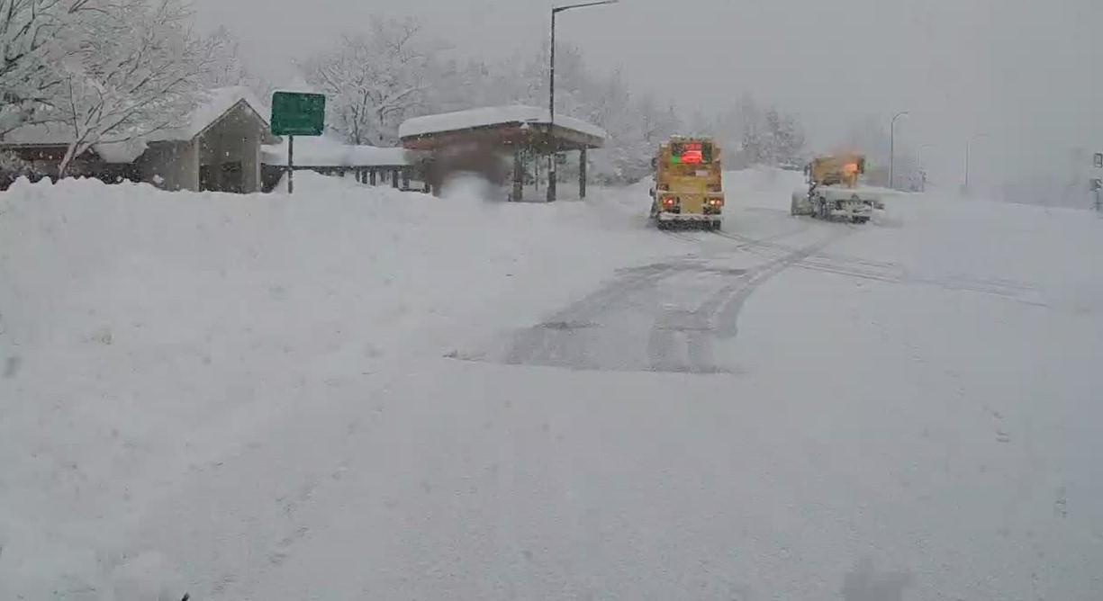 2026-01-24 09_36_09-02.jpg