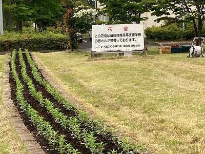 A photo of a signboard that introduces the flowerbed with beautifully planted flowers and the efforts of Takafuku cooperation