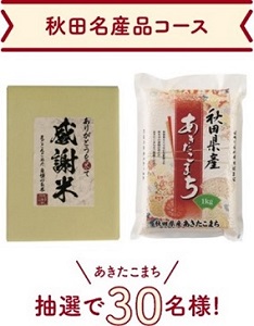 아키타 명산품 코스(아키타현산 아키타코마치)의 이미지 이미지