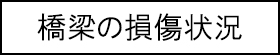 橋梁の損傷状況のキャプションのイメージ画像