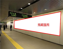 大通シートS23のイメージ画像