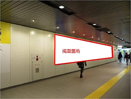 大通シートN11のイメージ画像