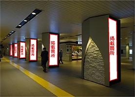 SAPPORO SNOW VISIONのイメージ画像