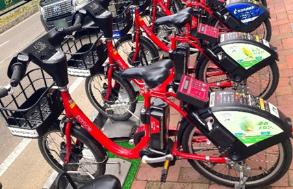 ポロクルの写真1