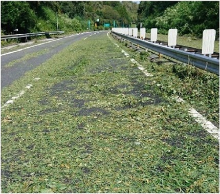 令和元年9月　千葉東金道路（山田IC～東金JCT）台風15号　強風に伴う枝葉の散乱の写真