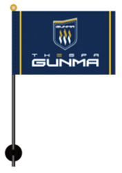Image of a mini flag