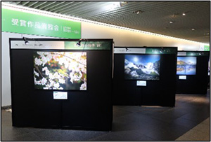 Photographs of the award-winning exhibition
