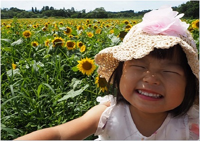 川崎繪里（Eri Kawasaki）的“向日葵微笑”照片（在八雲町拍攝）（先前的競賽共同獎）