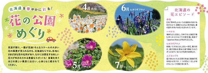 ～北海道を華やかに彩る！～花の公園めぐりのイメージ画像