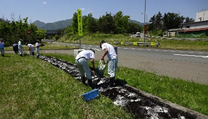 花壇整備の写真2