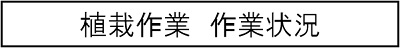 植栽作業　作業状況のキャプションのイメージ画像