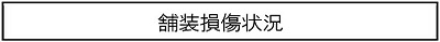 舗装損傷状況のキャプションのイメージ画像