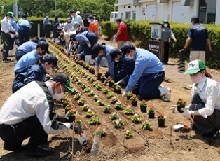(花卉种植情况) 的照片