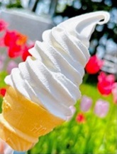 「岩瀬牧場ソフトクリーム」の写真