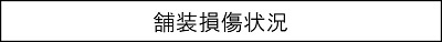 舗装損傷状況のキャプションのイメージ画像