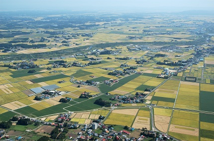 世界農業遺產“Ozaki Kozo” (飛行景觀圖片) 照片提供:“大崎地區世界農業遺產促進委員會”的照片