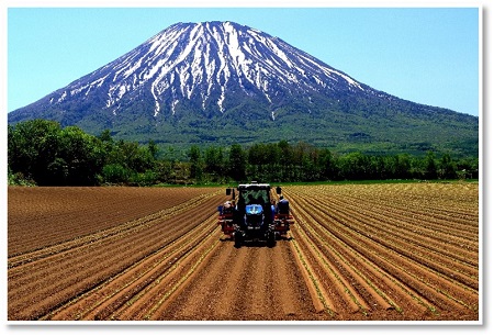 Photo of "Ue Seedlings" (Top Prize in the "Hokkaido Seasons" category)