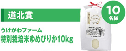道北賞　うけがわファーム　特別栽培米ゆめぴりか10kg　10名様のイメージ画像