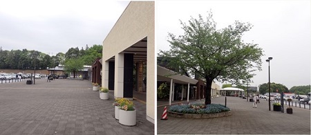 地域連携花壇植付けイメージのイメージ画像1