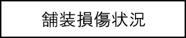 舗装損傷状況のキャプションのイメージ画像