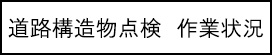 道路構造物点検　作業状況のキャプションのイメージ画像