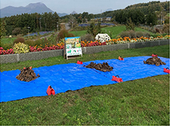 【昨年の収穫作業の様子】の写真3