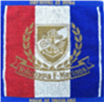 横浜F・マリノス公式ミニタオルのイメージ画像