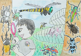 第13回　最優秀作品の写真