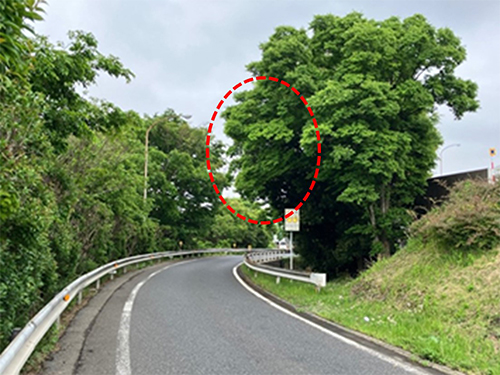 植栽の張り出し状況のイメージ画像