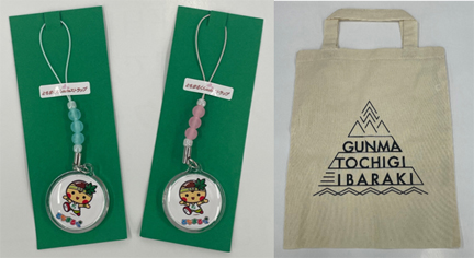 茨城県・栃木県ノベルティセットのイメージ画像2