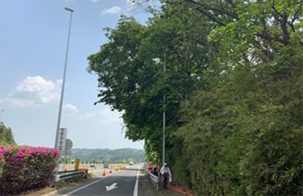 樹木繁茂状況のイメージ画像